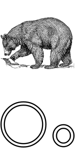 openclipart圖庫：Letra O de Oso