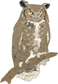 openclipart圖庫：Hibou Grand-duc - Eagle Owl