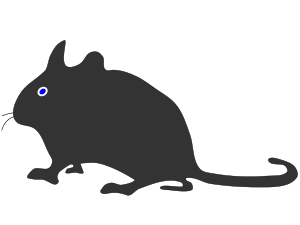 openclipart圖庫：mouse