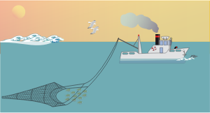 openclipart圖庫：boat