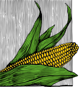 openclipart圖庫：Corn on the Cob - Colour
