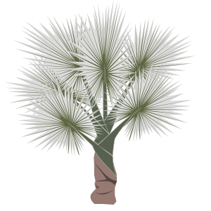 openclipart圖庫：palm-01