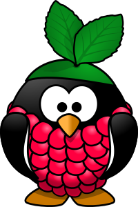 openclipart圖庫：Raspberry penguin