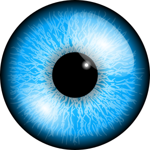 openclipart圖庫：eye, akis