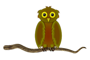 openclipart圖庫：Owl on a Branch