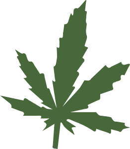 openclipart圖庫：the leaf1