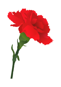 openclipart圖庫：Carnation