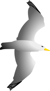 openclipart圖庫：Seagull Remix