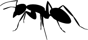 openclipart圖庫：Ant silhouette 3