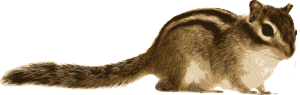 openclipart圖庫：Chipmunk (Siberian)