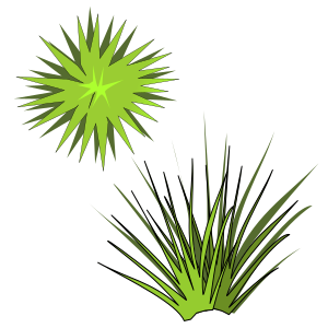 openclipart圖庫：plant-05
