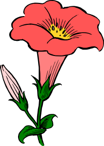 openclipart圖庫：Colored gamopetalous flower