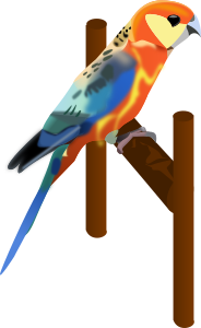openclipart圖庫：Parrot