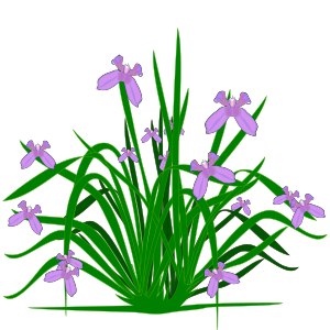 openclipart圖庫：Iris