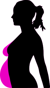 openclipart圖庫：pregnancy silhouet