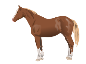 openclipart圖庫：Horse
