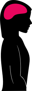 openclipart圖庫：Female silhouette with brain
