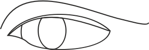openclipart圖庫：Eye line drawing