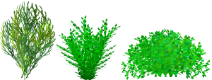 openclipart圖庫：bush