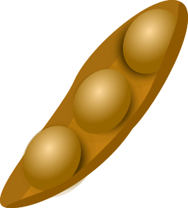openclipart圖庫：Soybean beans