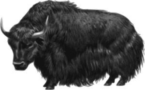 openclipart圖庫：Yak (no background)