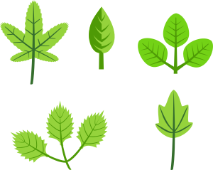 openclipart圖庫：Set of leaves