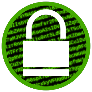openclipart圖庫：Digital Encryption Icon