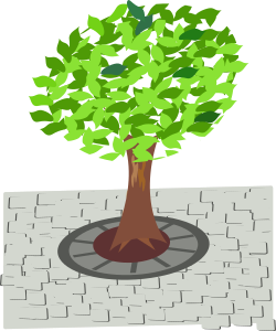 openclipart圖庫：tree in the street