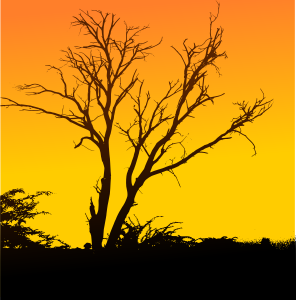 openclipart圖庫：Sunset