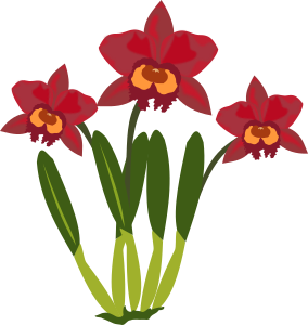 openclipart圖庫：cattleya