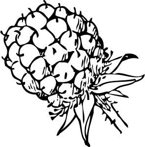 openclipart圖庫：blackberry 1