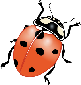 openclipart圖庫：ladybug