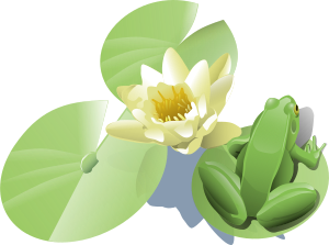 openclipart圖庫：Frog on a lily pad