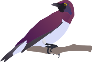 openclipart圖庫：exotical bird