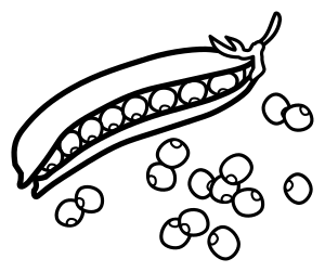 openclipart圖庫：peas - lineart
