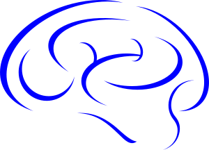 openclipart圖庫：Brain in Blue