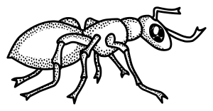 openclipart圖庫：ant - lineart