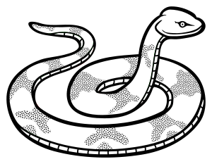 openclipart圖庫：snake - lineart