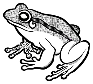 openclipart圖庫：frog - lineart