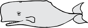 openclipart圖庫：whale
