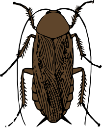 openclipart圖庫：cockroach color
