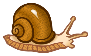 openclipart圖庫：snail - coloured