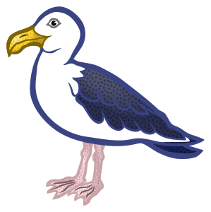 openclipart圖庫：gull - coloured