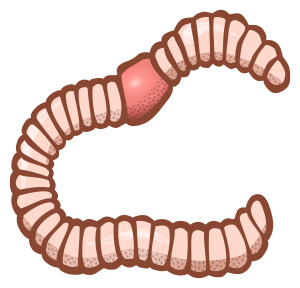 openclipart圖庫：worm - coloured