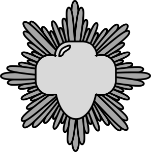 openclipart圖庫：Silver Award Pin