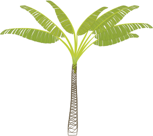 openclipart圖庫：palm-tree