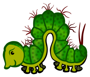 openclipart圖庫：caterpillar - coloured