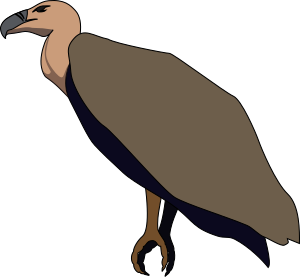 openclipart圖庫：Vulture