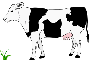 openclipart圖庫：Cow black and white / Vache blanche et noire