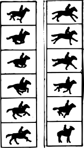 openclipart圖庫：Horse Animation Frames